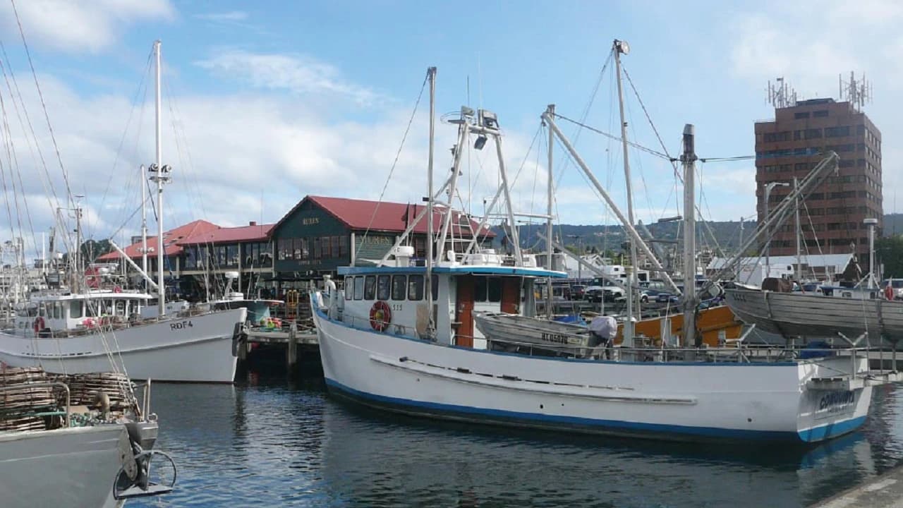 Hobart City Explorer Tour - Photo 5