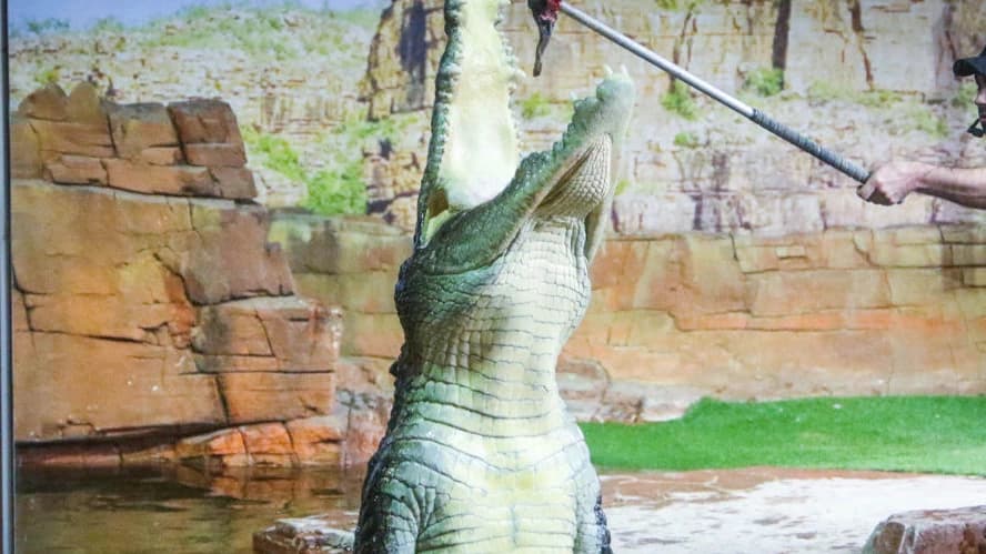 Ballarat Wildlife Park Tickets - Photo 3