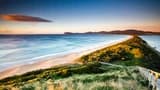 Bruny Island Full-Day Tour from Hobart - image 6