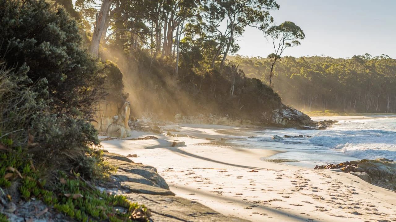 Bruny Island Full-Day Tour from Hobart - Photo 2