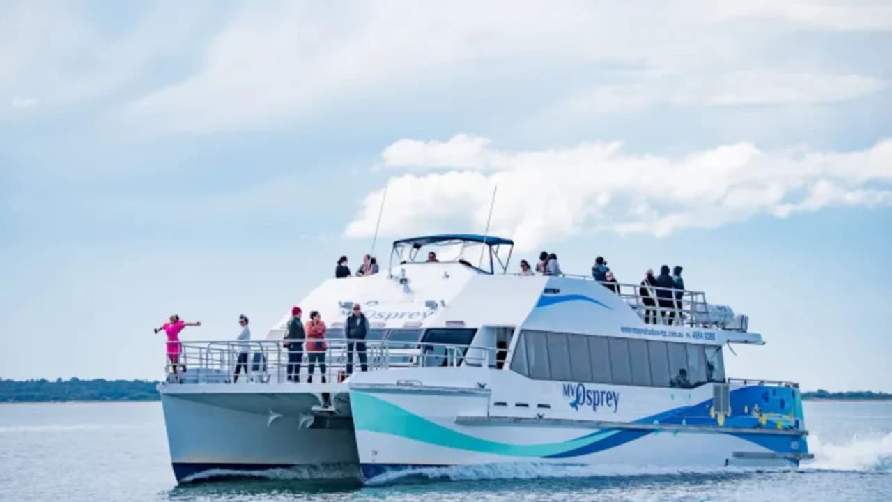 Port Stephens Dolphin Watch and Eco Adventure Cruise - Photo 1