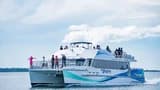 Port Stephens Dolphin Watch and Eco Adventure Cruise - Photo 4