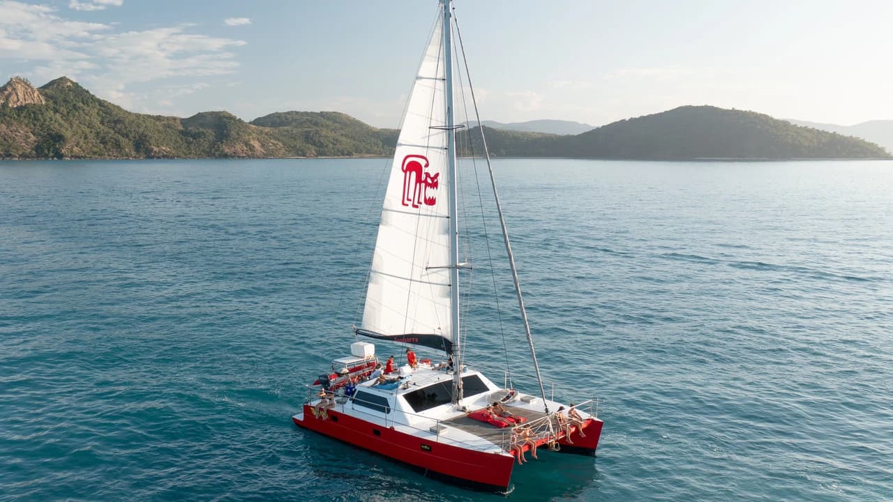 Tongarra Day Sailing Tour - Photo 1