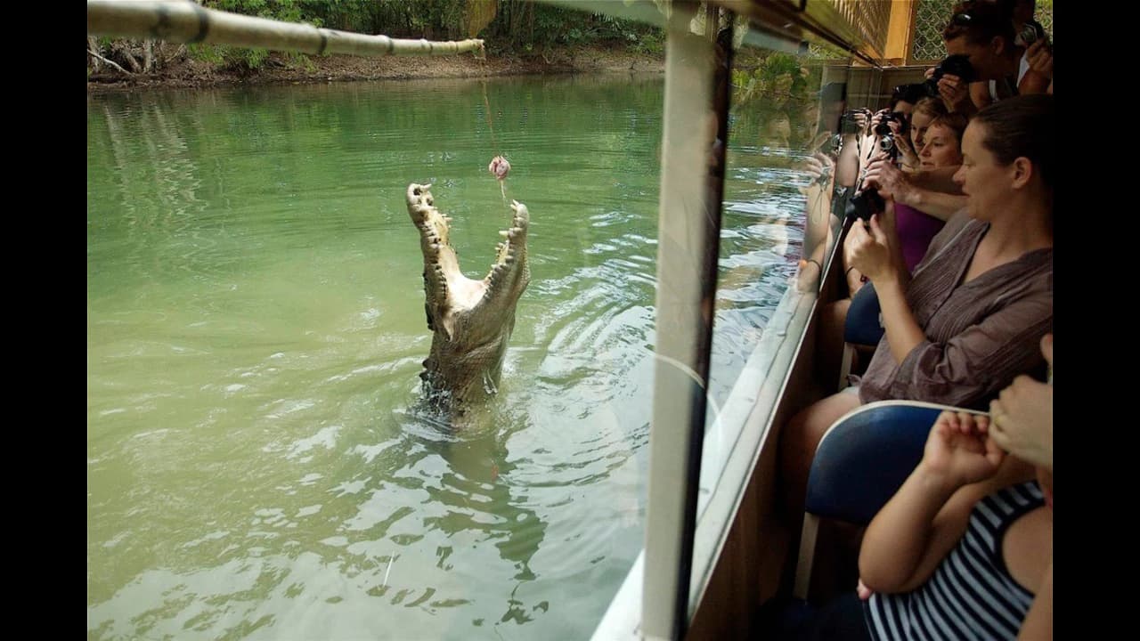 Hartley's Crocodile Adventures and Kuranda Tour from Port Douglas - Photo 1