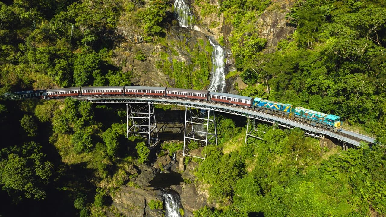Skyrail Rainforest Cableway with Optional Kuranda Scenic Train Ticket and Hotel Pick-Up - Photo 4