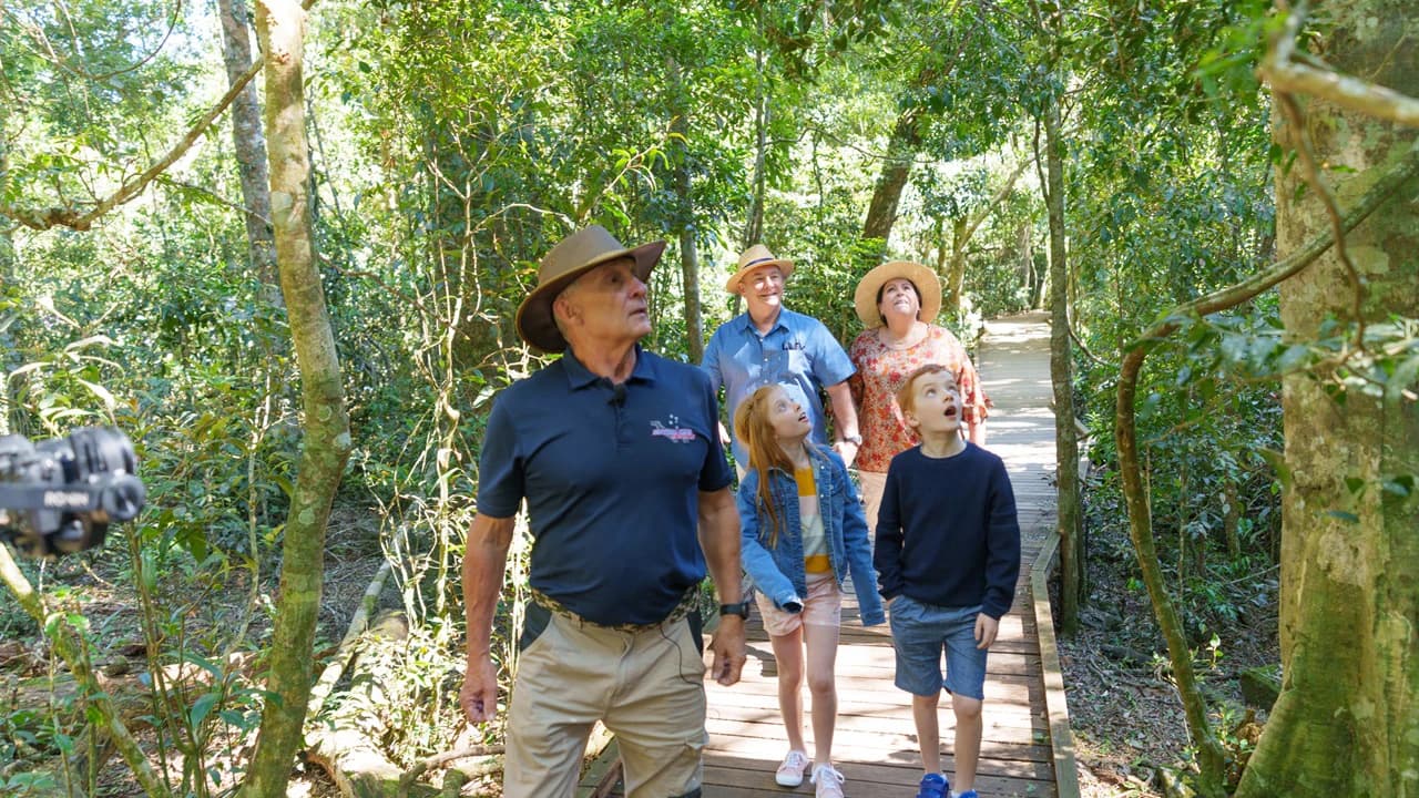 Lamington National Park Tour: O'Reilly's Rainforest Retreat and Canungra Valley Vineyard - Photo 2