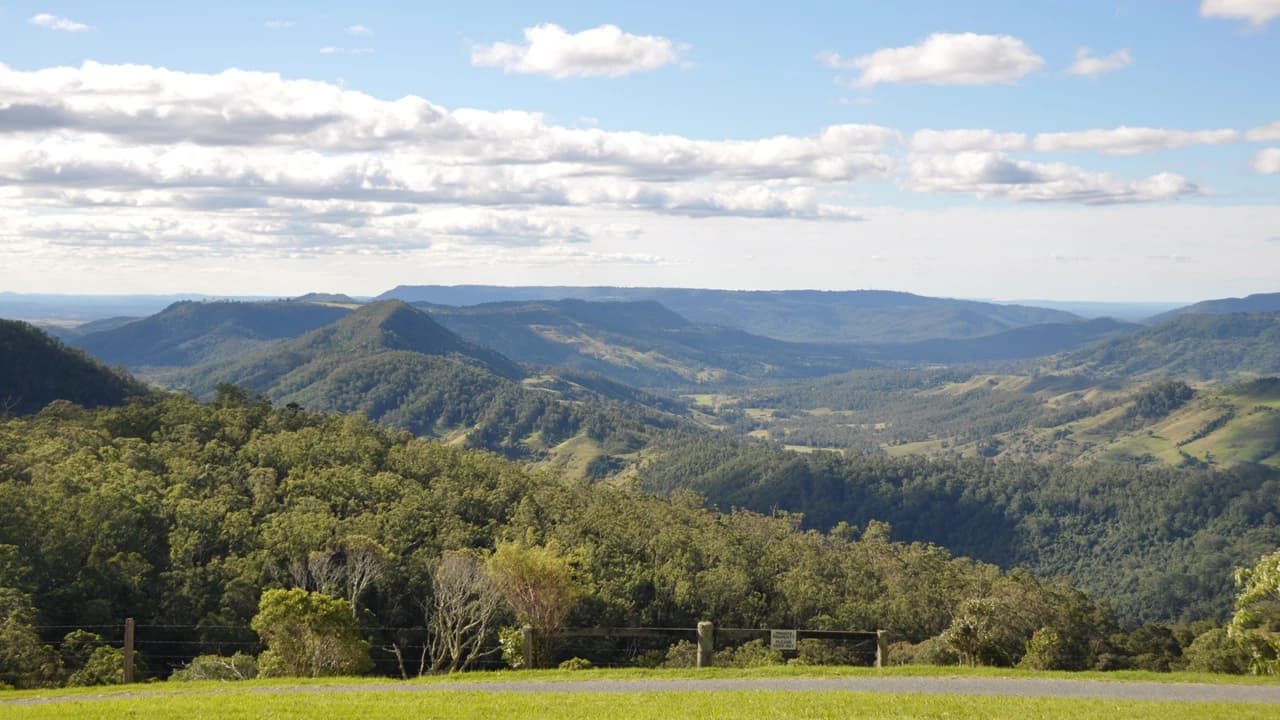 Lamington National Park Tour: O'Reilly's Rainforest Retreat and Canungra Valley Vineyard - Photo 3