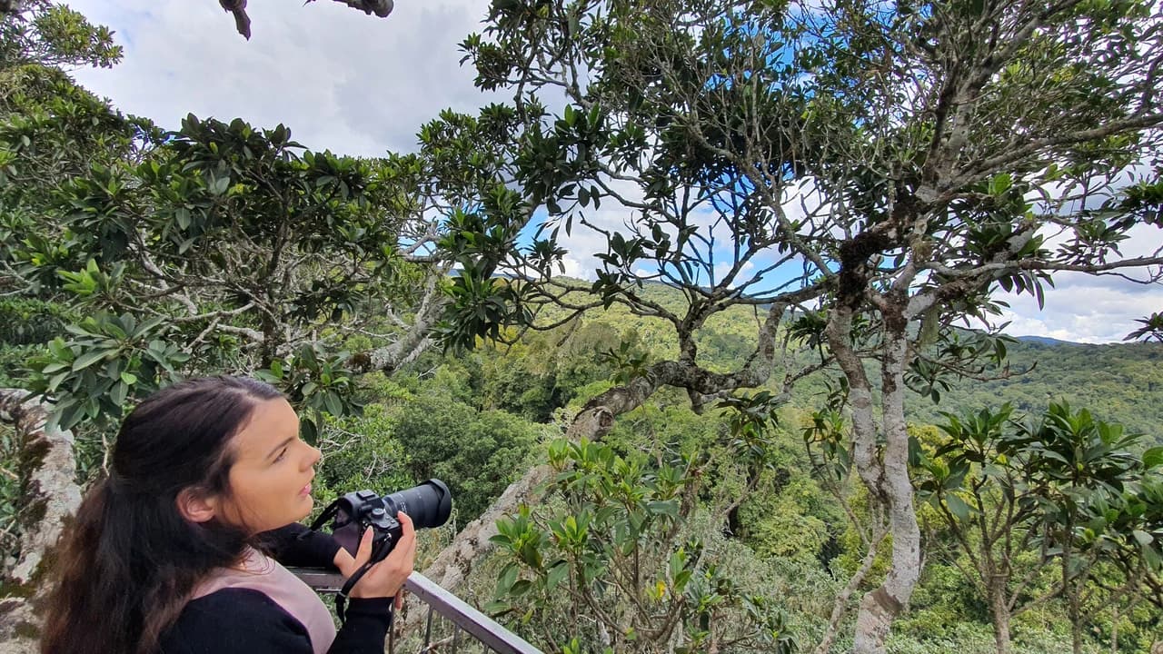 Lamington National Park Tour: O'Reilly's Rainforest Retreat and Canungra Valley Vineyard - Photo 5