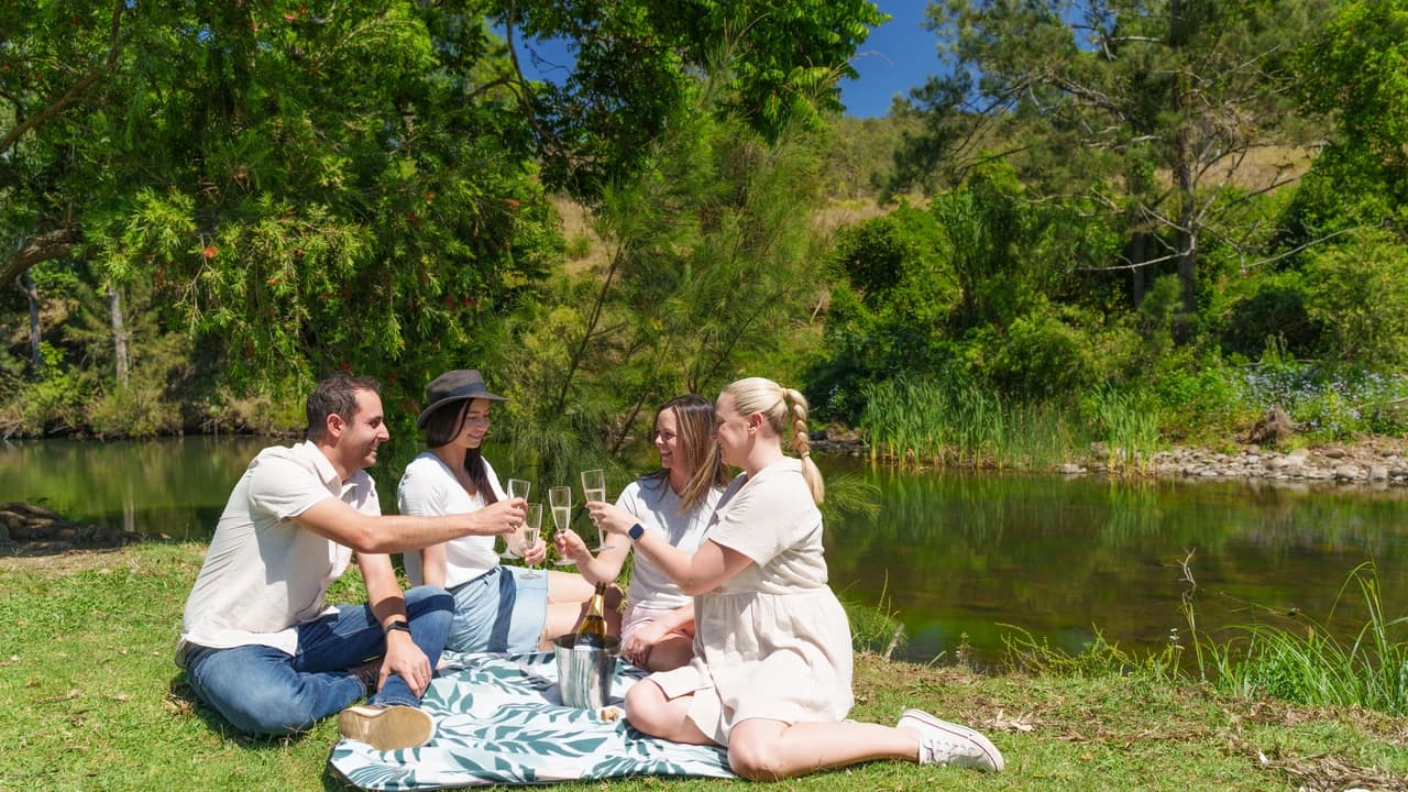 Lamington National Park Tour: O'Reilly's Rainforest Retreat and Canungra Valley Vineyard - image 6