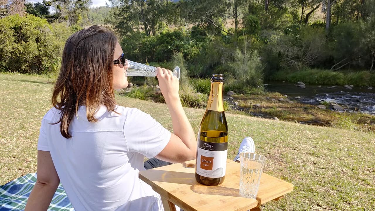 Lamington National Park Tour: O'Reilly's Rainforest Retreat and Canungra Valley Vineyard - image 7