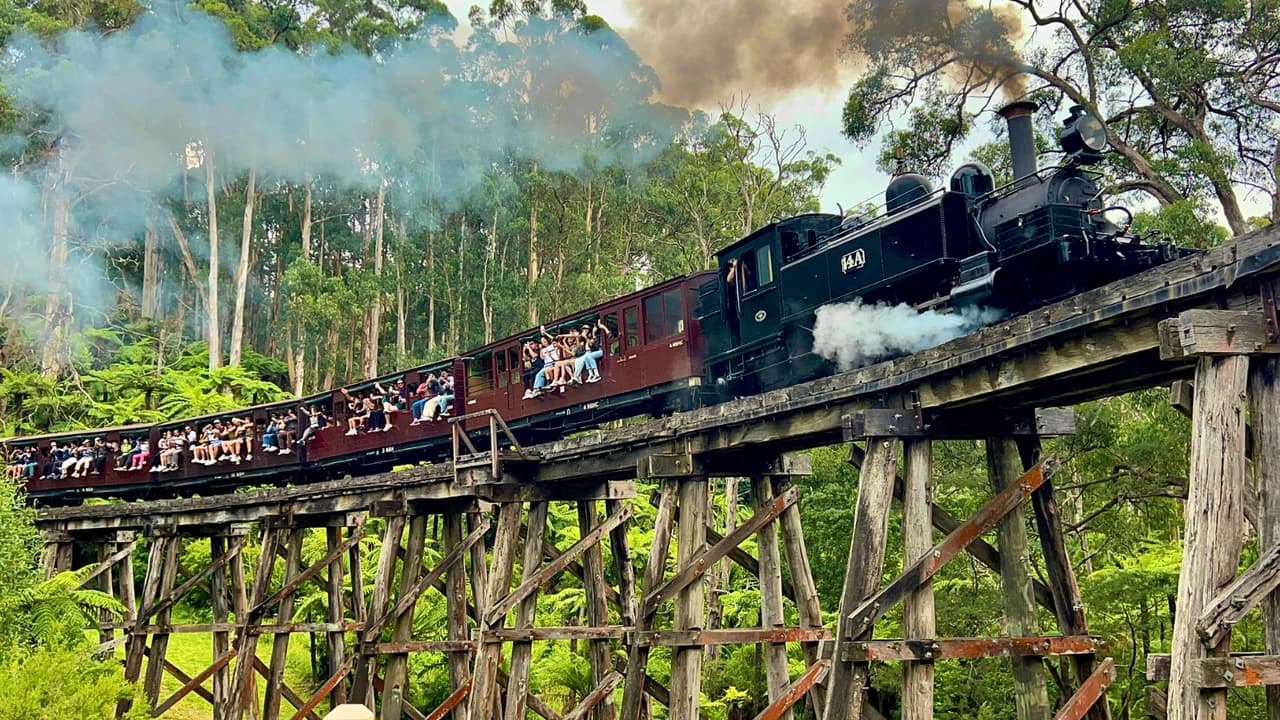 Puffing Billy Steam Train Half-Day Tour - Photo 1