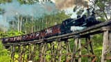 Puffing Billy Steam Train Half-Day Tour - image 8