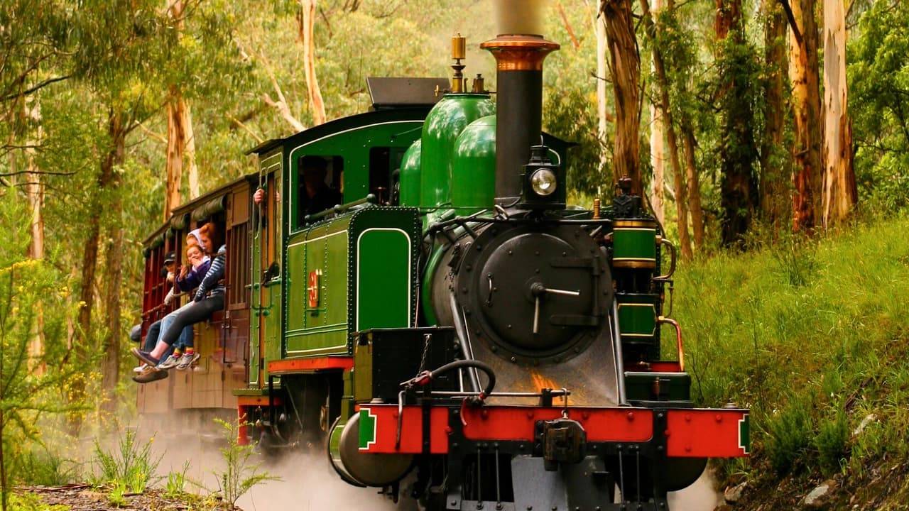 Puffing Billy Steam Train Half-Day Tour - Photo 3