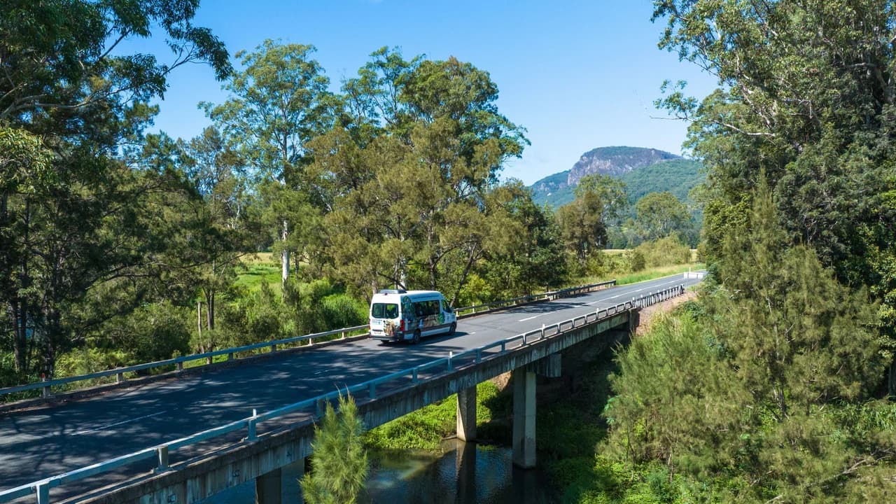 Gold Coast Full-Day Tour From Brisbane - image 7