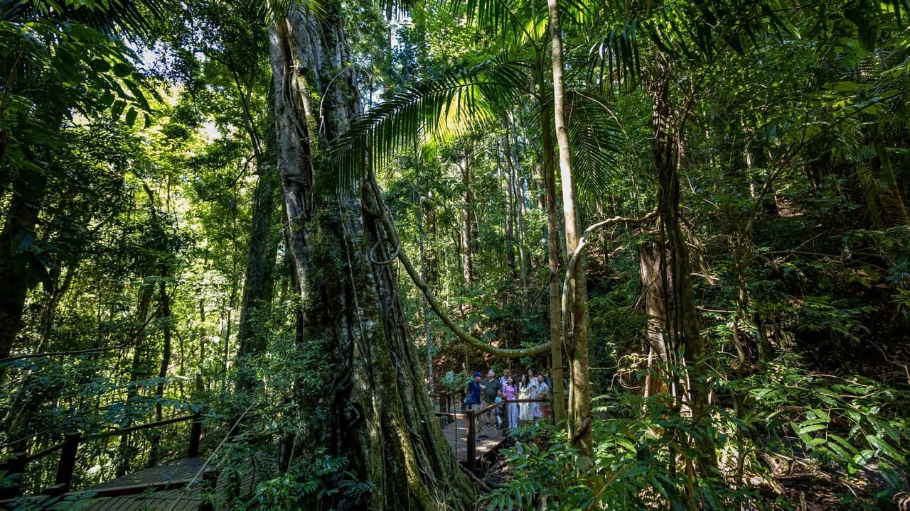 Gold Coast Full-Day Tour From Brisbane - image 8