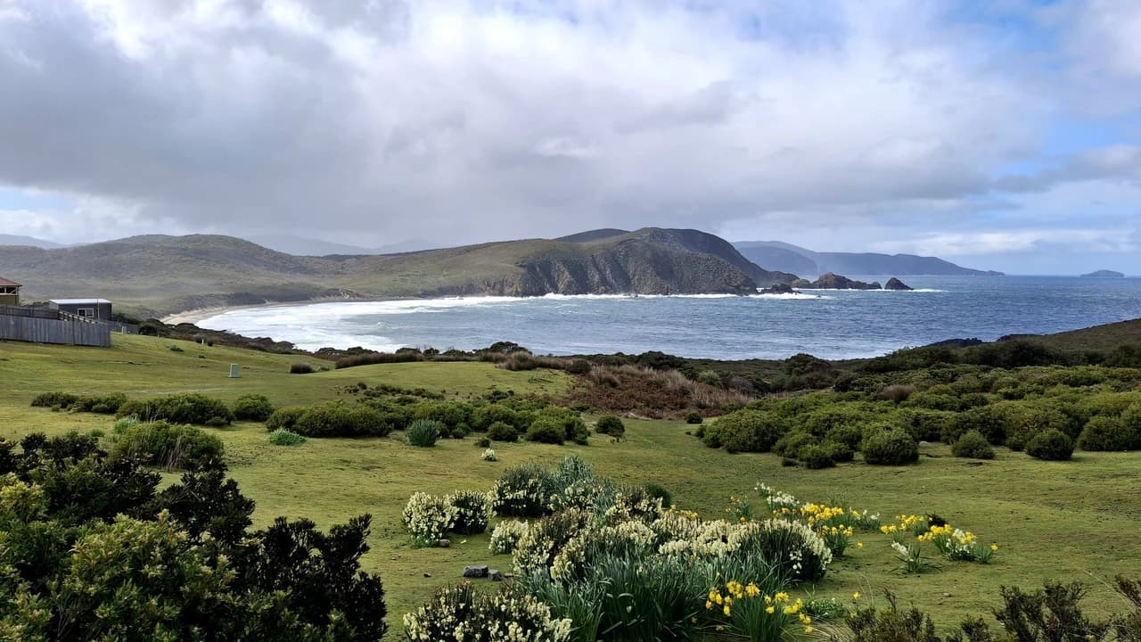 From Hobart | Bruny Island Food, Sightseeing and Lighthouse Tour - Photo 4