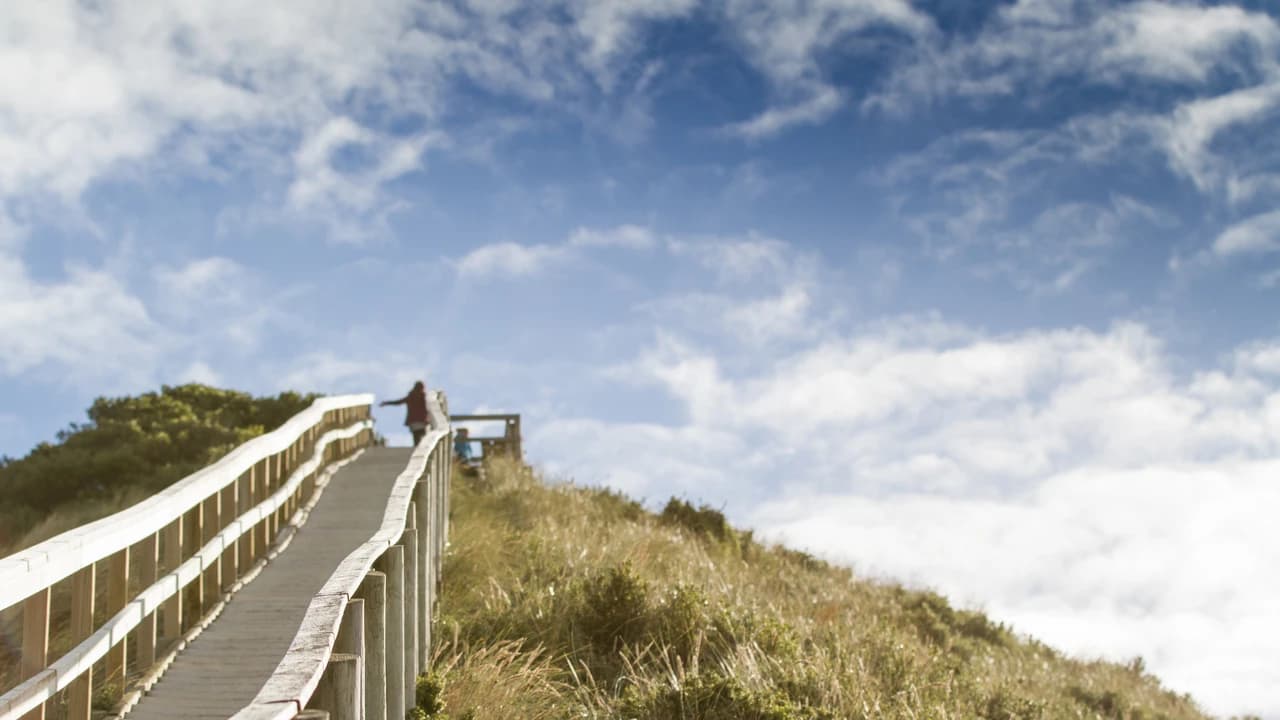 From Hobart | Bruny Island Food, Sightseeing and Lighthouse Tour - image 6