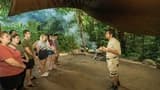 Daintree, Mossman Gorge, and Wildlife Habitat Port Douglas Full-Day Tour - image 7