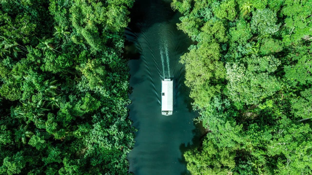 Daintree, Mossman Gorge, and Wildlife Habitat Port Douglas Full-Day Tour - Photo 2