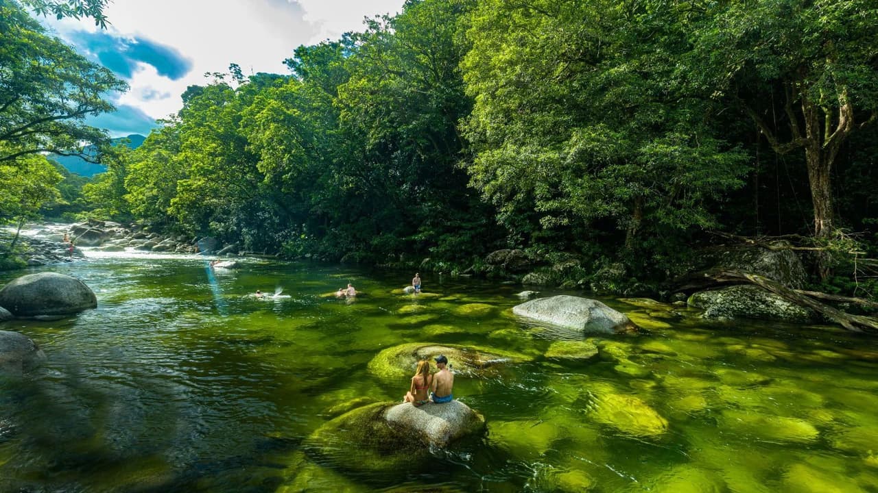 Daintree, Mossman Gorge, and Wildlife Habitat Port Douglas Full-Day Tour - Photo 4