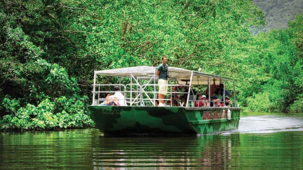 Crocodile Express Daintree Cruise from Daintree Gateway - Photo 1