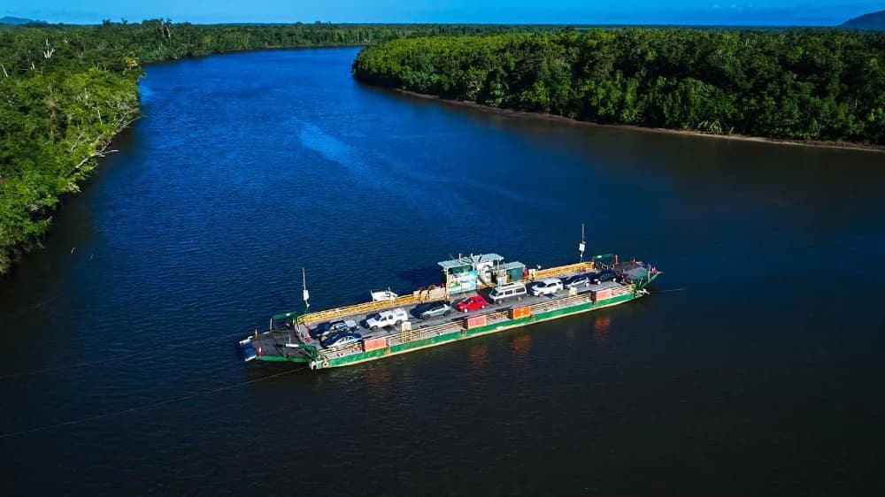 Crocodile Express Daintree Cruise from Daintree Gateway - Photo 5