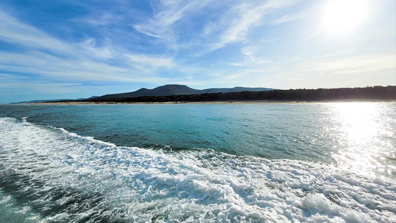 Wilsons Promontory Whale Watching Sightseeing Cruise - Photo 5
