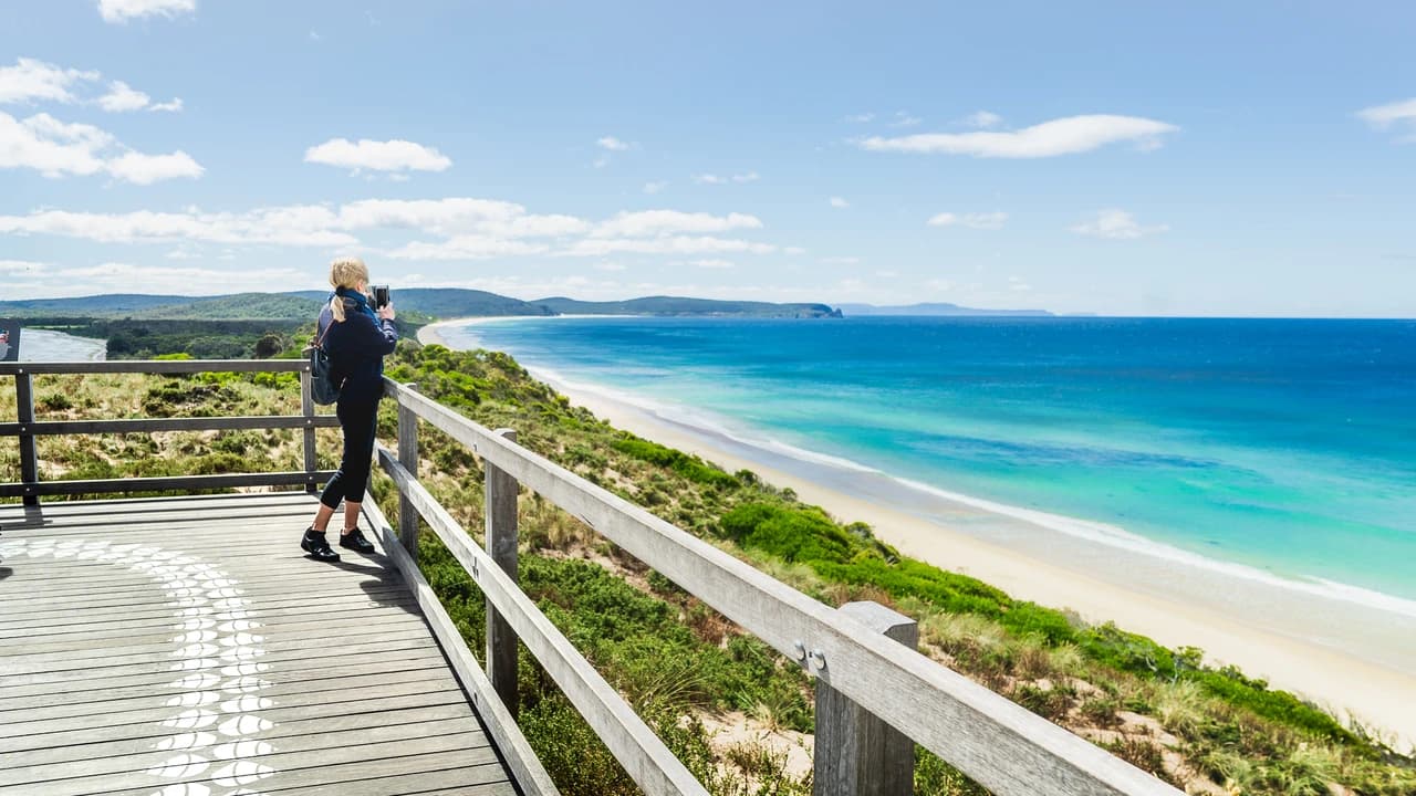 From Hobart Bruny Island Essential Explorer Day Tour - image 7
