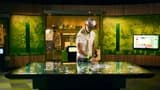 Melbourne Cricket Ground (MCG) Tour with Optional Museum Ticket - image 8