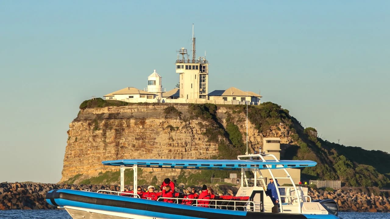 Newcastle Whale Watching Cruise aboard CoastXP - Photo 2