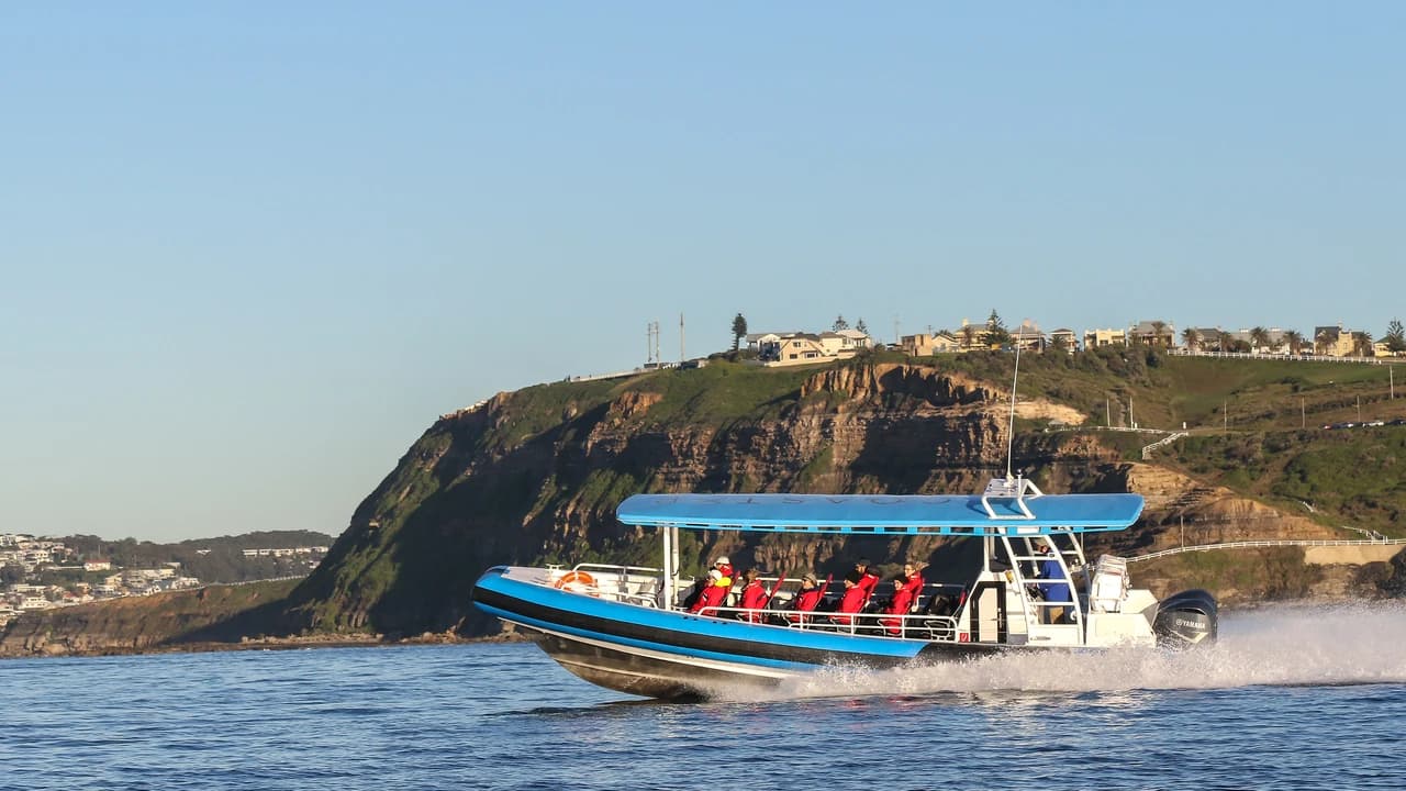 Newcastle Whale Watching Cruise aboard CoastXP - Photo 5