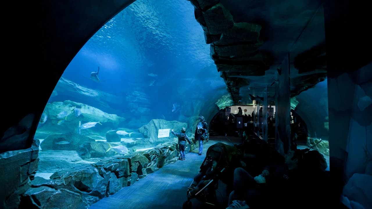 Aquarium de Paris - Photo 1