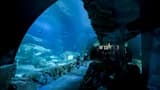 Aquarium de Paris - image 7