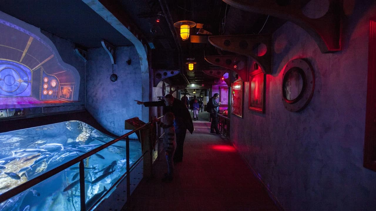 Aquarium de Paris - Photo 4
