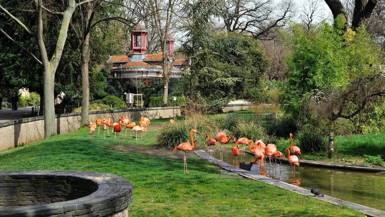 Ménagerie, Zoo of the Jardin des Plantes - Photo 4