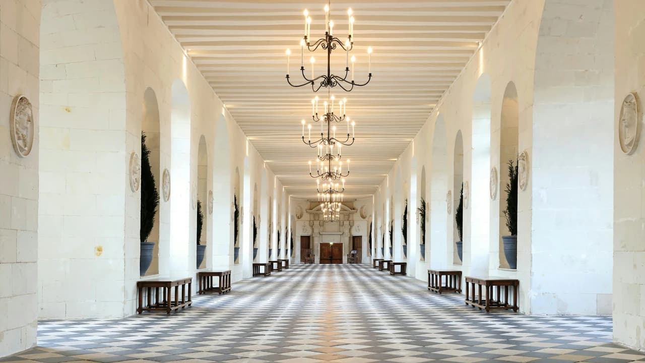 Château de Chenonceau Ticket - image 8