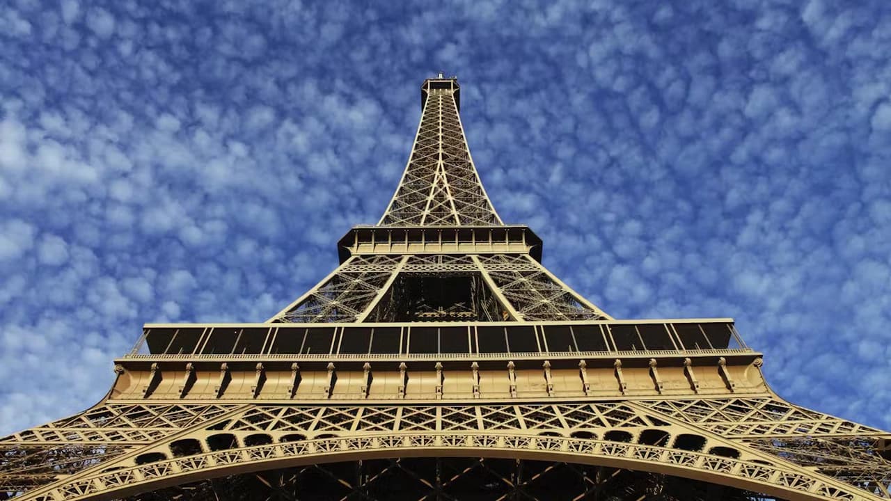Eiffel Tower Dining Experience at Madame Brasserie Restaurant - image 7