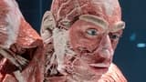 BODY WORLDS Berlin - image 8