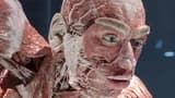BODY WORLDS Berlin - image 7