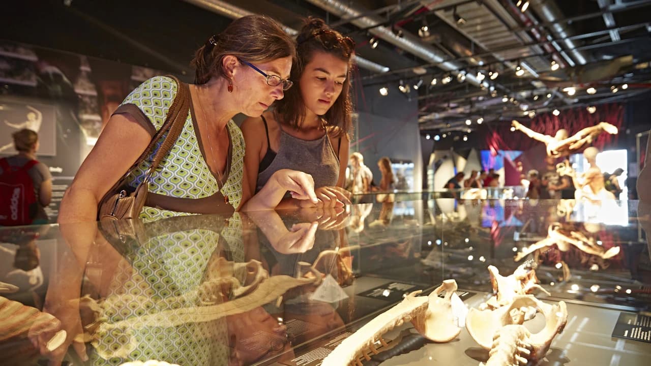 BODY WORLDS Berlin - Photo 2