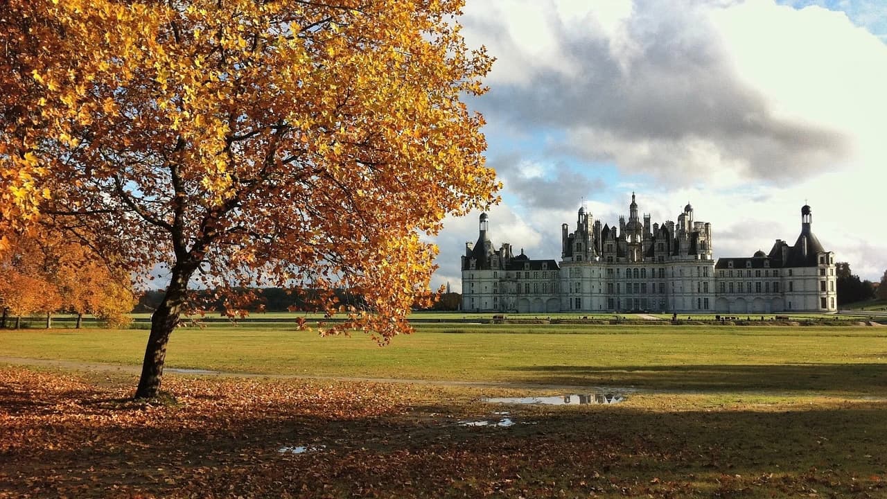 Loire Valley Tour from Paris: Chambord, Chenonceau, and Cheverny Castles - Photo 4