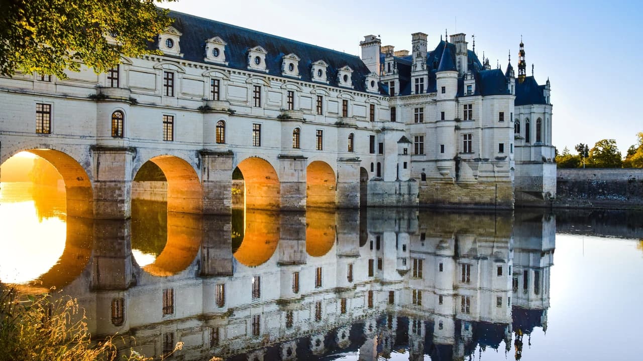 Loire Valley Tour from Paris: Chambord, Chenonceau, and Cheverny Castles - Photo 5