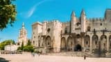 Palace of the Popes and Pont d’Avignon Ticket - Photo 4