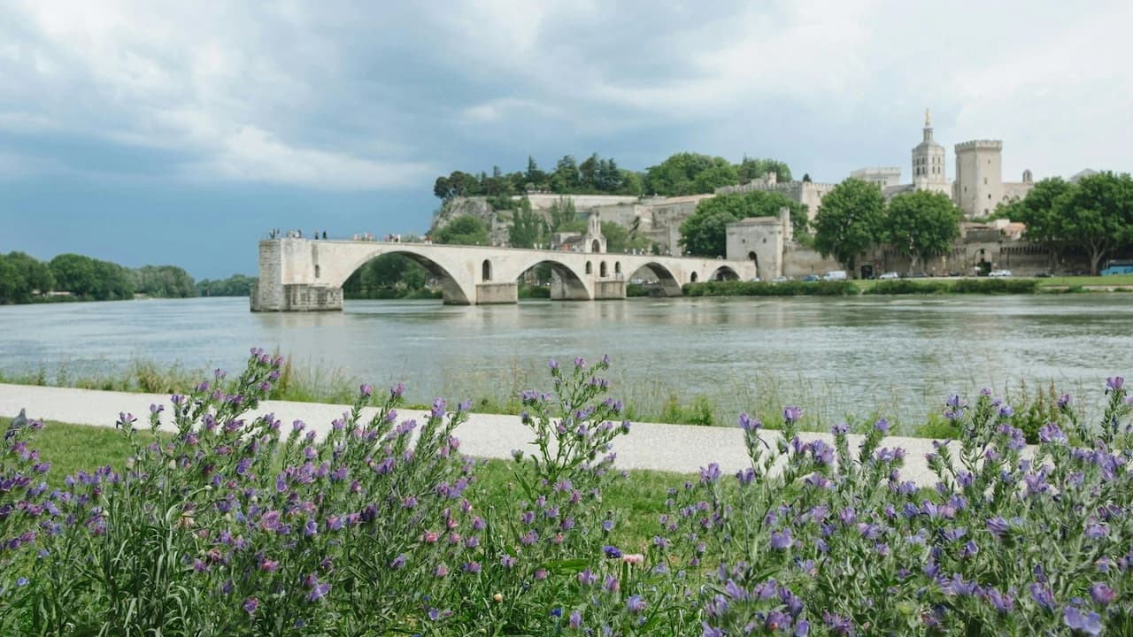 Palace of the Popes and Pont d’Avignon Ticket - Photo 2