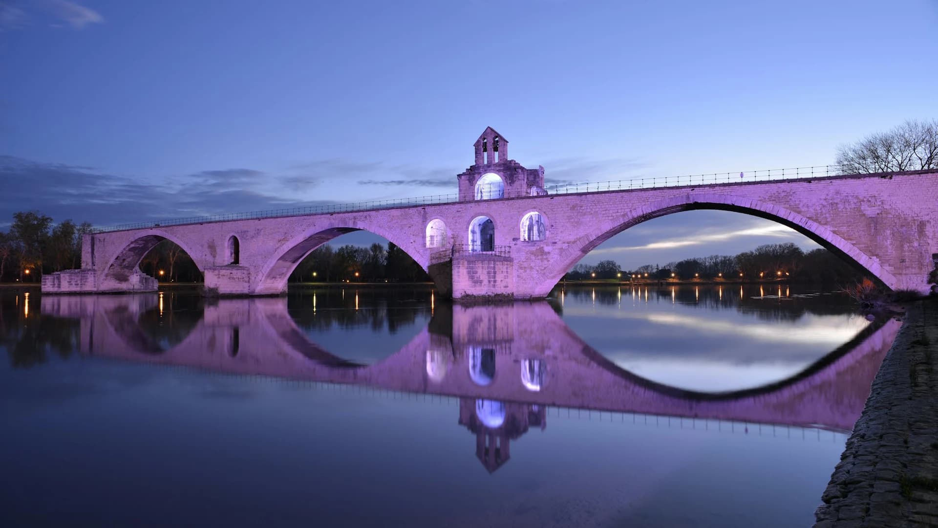 Palace of the Popes and Pont d’Avignon Ticket - image 8