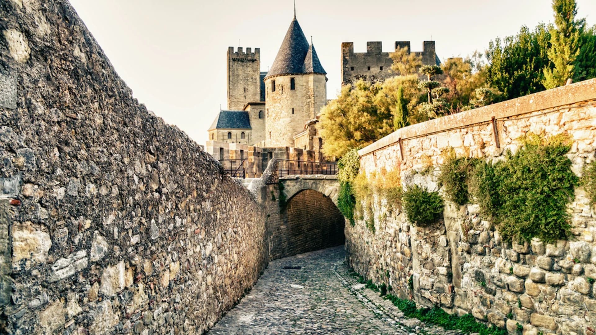 Cite de Carcassonne: Castle + Ramparts + Museum - image 8