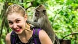 Tanah Lot & Ulun Danu Temples Full-Day Cultural Tour - image 7