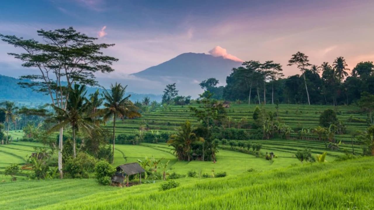 Tanah Lot & Ulun Danu Temples Full-Day Cultural Tour - image 6