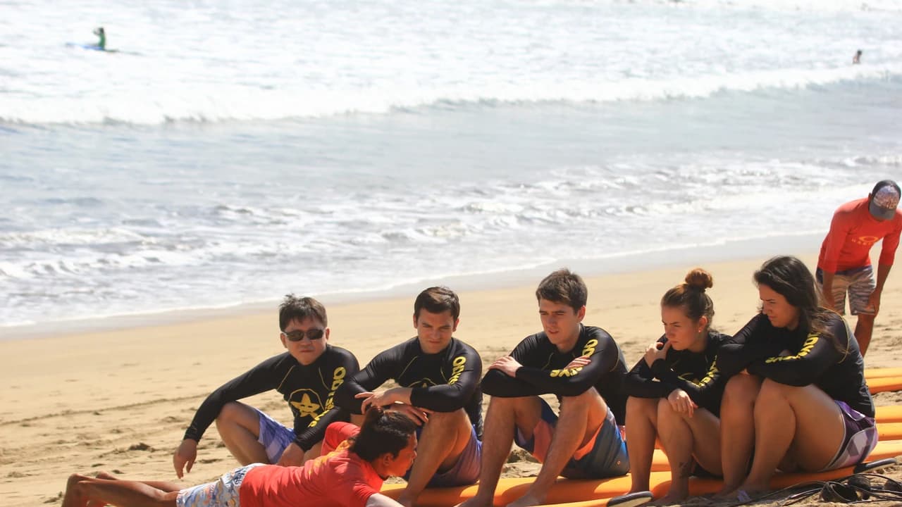 Surfing Lessons by Odysseys Surf School - Photo 2