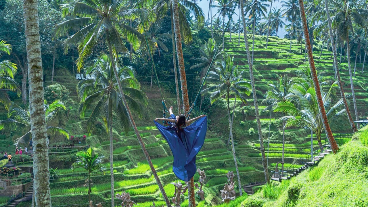 Alas Harum Bali: Swing, Skybike, and Zipline - Photo 2